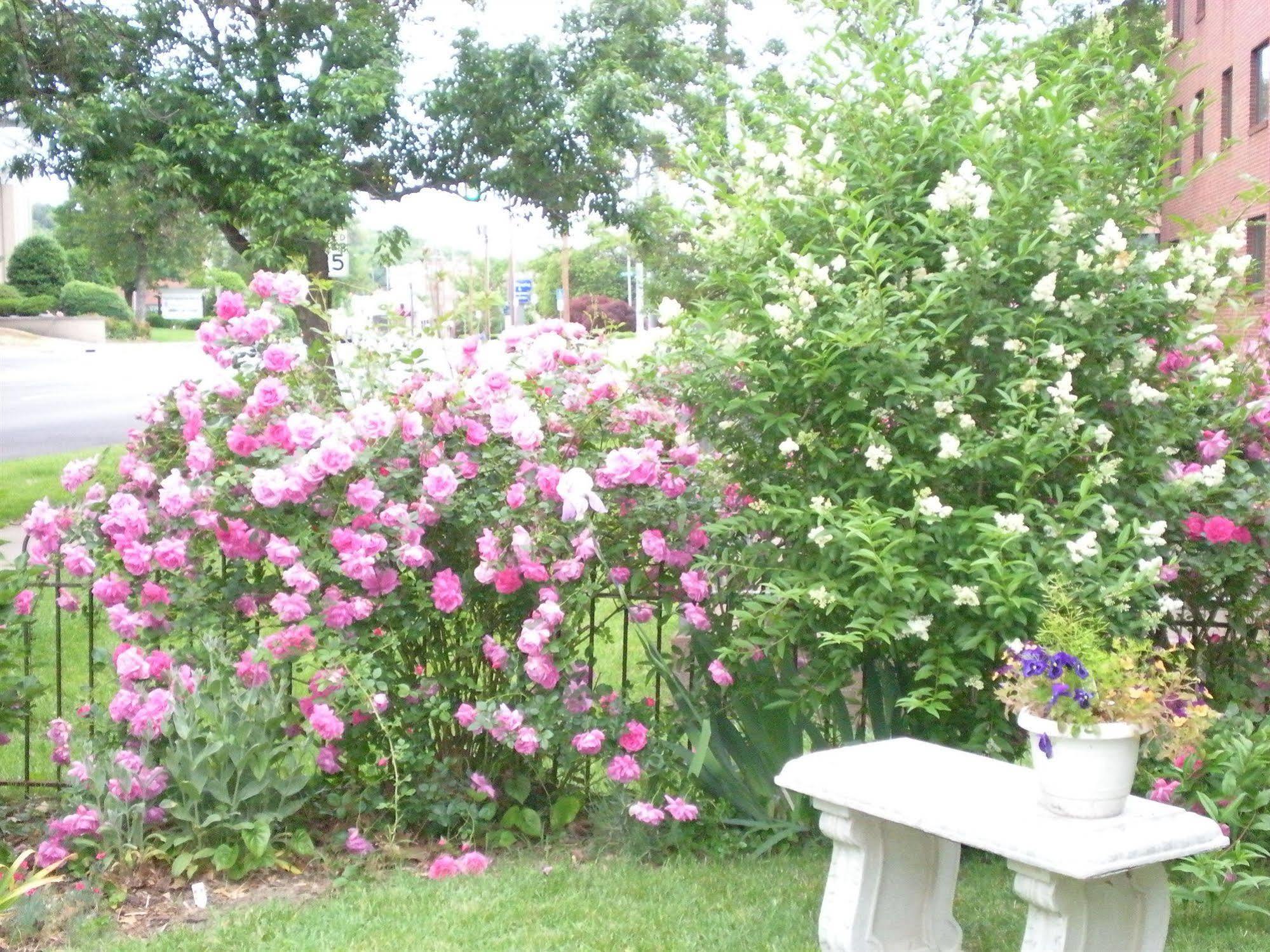 Belle Hearth Bed And Breakfast Waynesboro Exterior photo