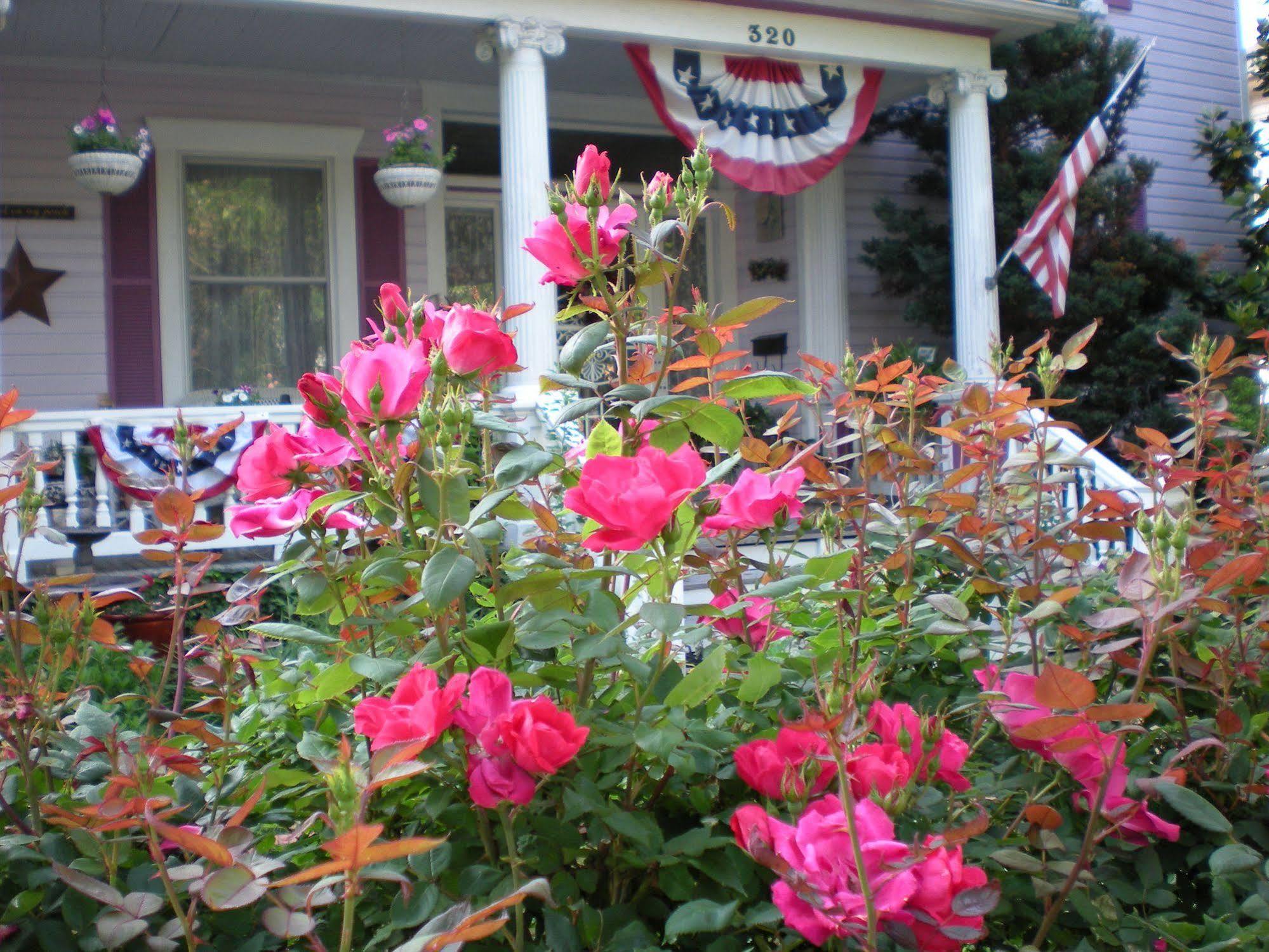 Belle Hearth Bed And Breakfast Waynesboro Exterior photo